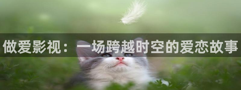 丫丫4480私人影院免费：做爱影视：一场跨越时空的爱恋故事