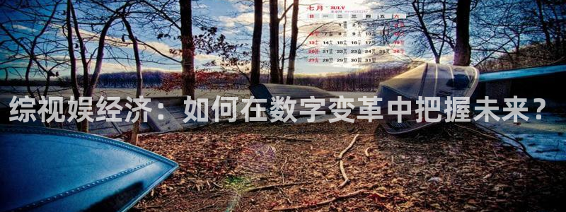 丫丫影院在线播放电视剧：综视娱经济：如何在数字变革中把握未来？