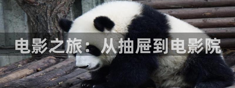 丫丫影院电视剧在线播放：电影之旅：从抽屉到电影院