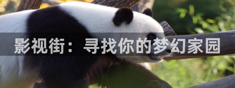 丫丫影院电视剧在线播放：影视街：寻找你的梦幻家园