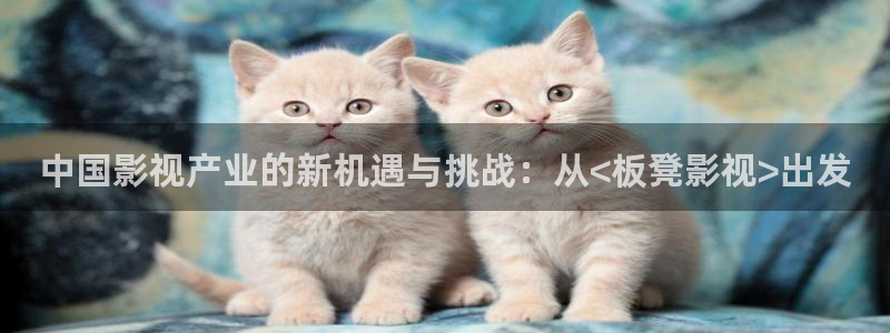 高清丫丫私人影院：中国影视产业的新机遇与挑战：从<板凳影视>出发