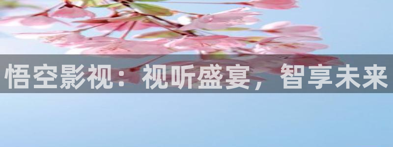 丫丫4480青苹果影院：悟空影视：视听盛宴，智享未来