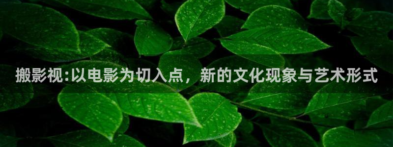 丫丫影院在线播放电视剧：搬影视:以电影为切入点，新的文化现象与艺术形式