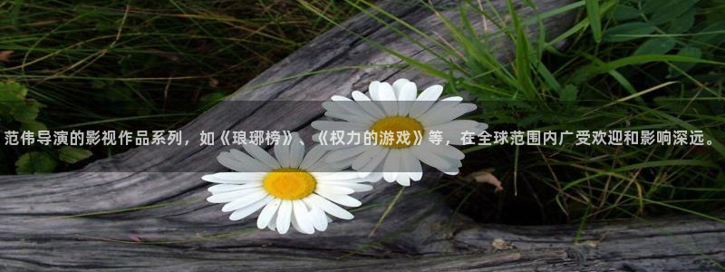 丫丫视频：范伟导演的影视作品系列，如《琅琊榜》、《权力的游戏》等，在全球范围内广受欢迎和影响深远。