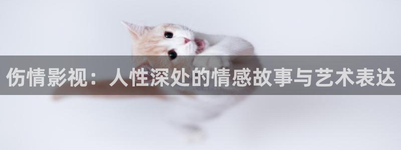 丫丫影视：伤情影视：人性深处的情感故事与艺术表达
